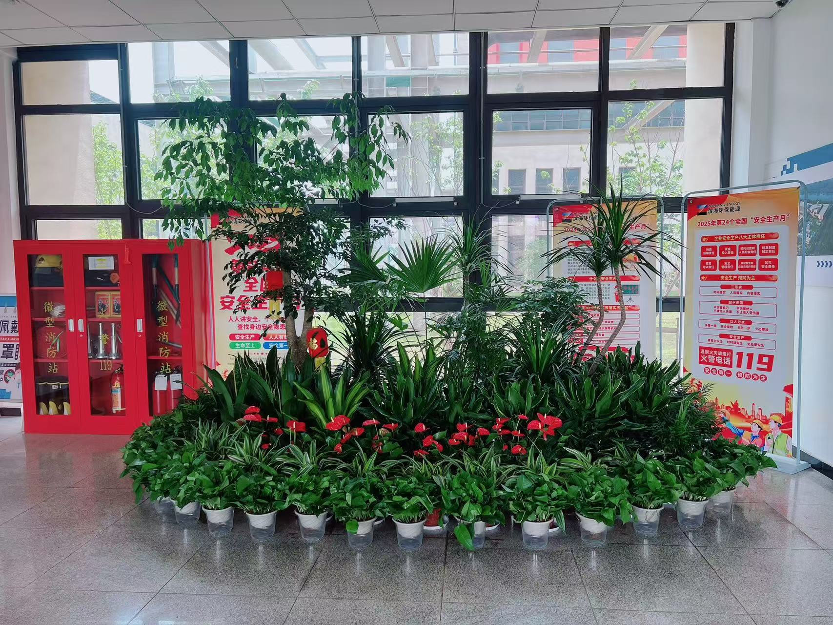 宁波奉化盆景租赁方案，为你的环境增添自然之美！